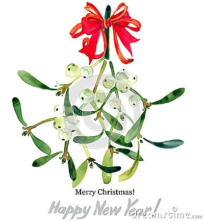 Mistletoe branch. Merry Christmas. Happy New Year. Stock Photo