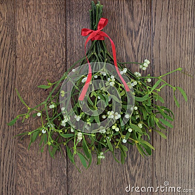 Mistletoe Stock Photo