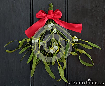 Mistletoe Kisses Stock Photo