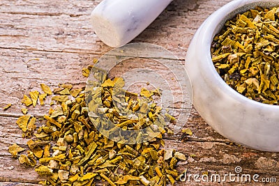 Mistletoe, medicinal herb dried with mortar Stock Photo