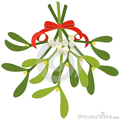 Mistletoe Vector Illustration