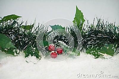 Mistletoe in Snow Stock Photo