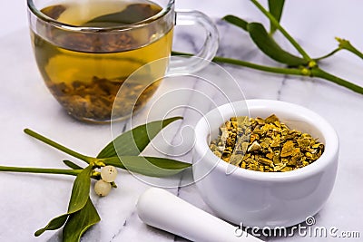 Mistletoe, tea with mortar and frehs and dried mistletoe drug Stock Photo