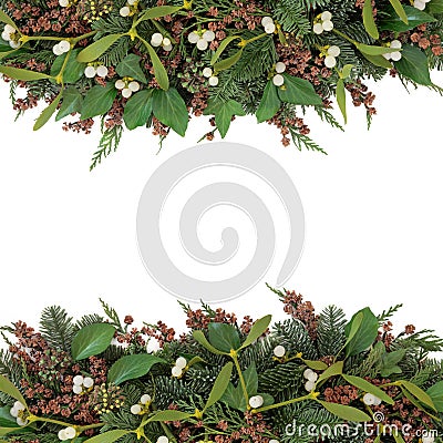 Mistletoe and Winter Flora Stock Photo
