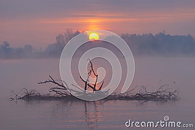 Misty Autumn Landscape Stock Photo