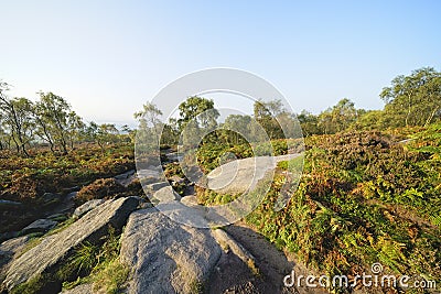 Misty autumn morning on the slopes of Surprise View, Derbyshire Stock Photo
