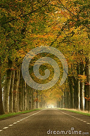 Misty autumn road Stock Photo
