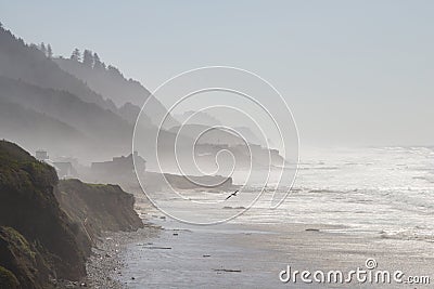 Misty Cliff and Ocean Beach, Florence, Oregon Stock Photo