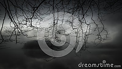 Misty creepy and mysterious park with a lake under the stormy cloudy sky Stock Photo