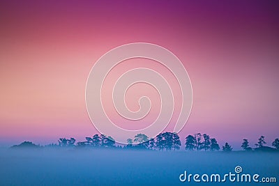 Misty foggy colorful dawn, minimalist landscape Stock Photo