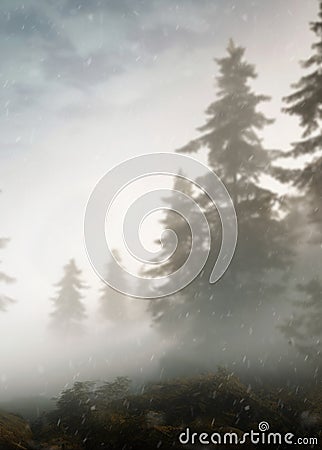 misty foggy fantasy spooky forest clearing. white smoke bright gray snowing background in the woods. Christmas pine trees Stock Photo