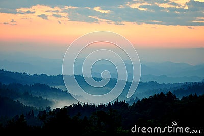 Misty Forest at Sunrise Stock Photo