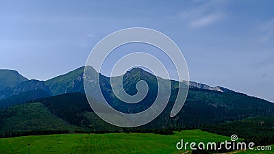 Misty horizons blue tones. Forested mountain slope in low lying cloud with the evergreen conifers shrouded in mist in a Stock Photo