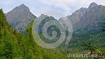 Misty horizons blue tones. Mountain landscape with huge rocky slopes of High Tatras and evergreen forest, Slovakia. Stock Photo