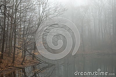 Misty Lake Stock Photo