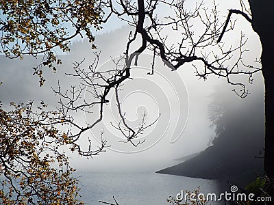 Misty lake Stock Photo