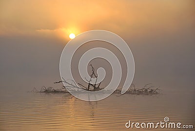 Misty Lake at Sunrise Stock Photo