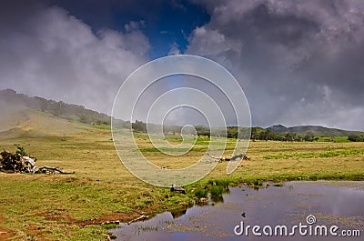 Misty landscape in a mystical athmosphere Stock Photo