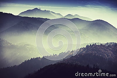 Misty landscape Stock Photo