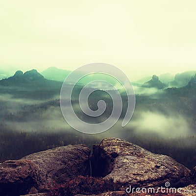 Misty melancholic morning. View over birch tree to deep valley full of heavy mist. Autumn landscape within daybreak. Stock Photo