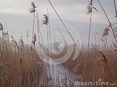 Misty mill surrounded by reed Stock Photo