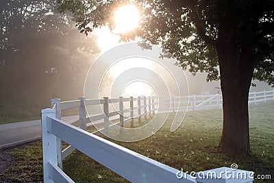 Misty Morning Stock Photo