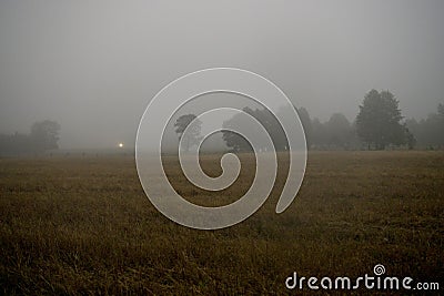 Misty morning field Stock Photo