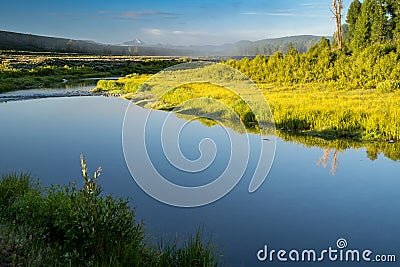 Misty morning fog view looking toward the highway at Schwabacher Landing in the early morning in Grand Teton National Park Stock Photo