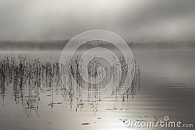 Misty morning by the lake Stock Photo