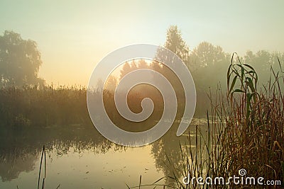 Misty morning on the lake. Dawn in the fog. Forest reflected in the calm water. Stock Photo