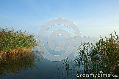 Misty morning on the lake. Dawn in the fog. Reed and plants in the foreground. Fisherman`s boat in the fog. Stock Photo