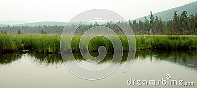 Misty morning on the lake. early summer morning. drizzling rain. Stock Photo