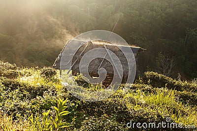 Misty morning sunrise in tea plantation and hut at Doi Ang Khang, Chiang Mai, Thailand Stock Photo