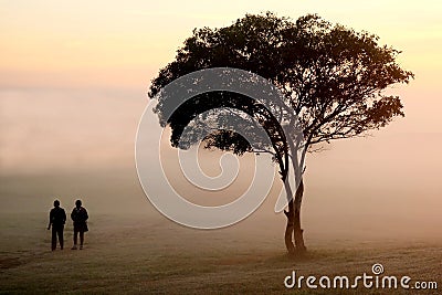 Misty Morning Walk Stock Photo