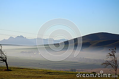 Misty mornings at Cape Farms, Cape Town Stock Photo