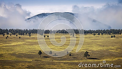 Misty Mountain Landscape Stock Photo