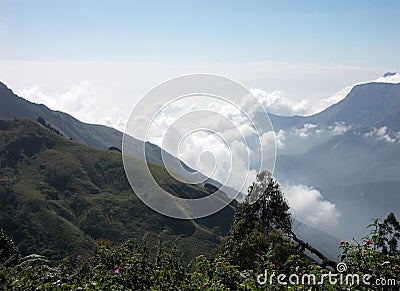 Misty mountains of Kerala Stock Photo