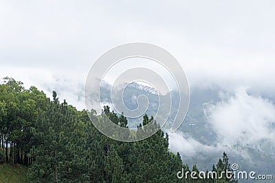 Misty Mountains Wall Decor Print or Poster Stock Photo