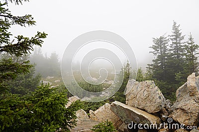 Misty and mysterious forest. The Mountain ` Zyuratkul.` Ural. Autumn Stock Photo