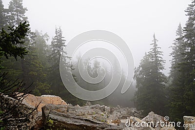 Misty and mysterious forest. The Mountain ` Zyuratkul.` Ural. Autumn Stock Photo