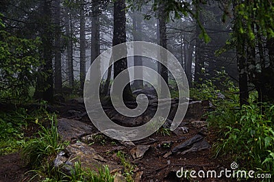 Misty and mysterious forest. The Mountain ` Zyuratkul.` Ural. Autumn Stock Photo