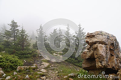 Misty and mysterious forest. The Mountain ` Zyuratkul.` Ural. Autumn Stock Photo