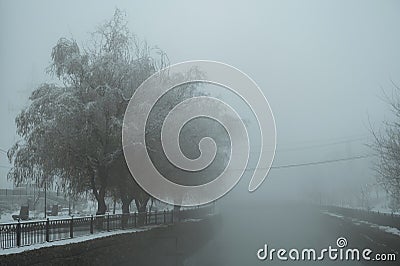 misty mysterious winter beautiful landscape with a river and trees with snow in fog Stock Photo