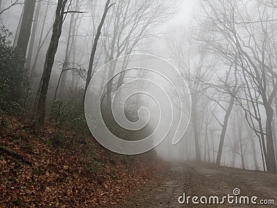 Misty roadbed in the Appalachians Stock Photo