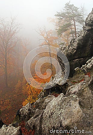 Misty rocks and trees in forest Stock Photo