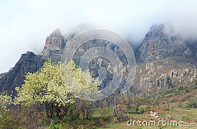 Misty rocky mountain Stock Photo