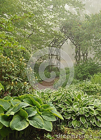 Misty shade garden with trellis Stock Photo