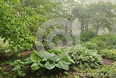 Misty shade garden with trellis Stock Photo