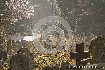 A misty spring morning in Southampton Old Cemetery Stock Photo