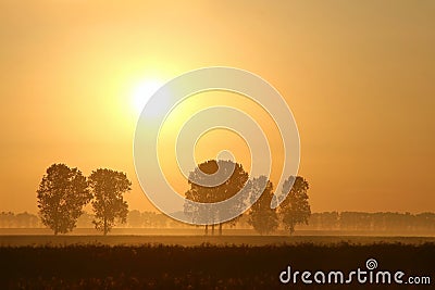 Misty summer sunrise with trees in the field Stock Photo